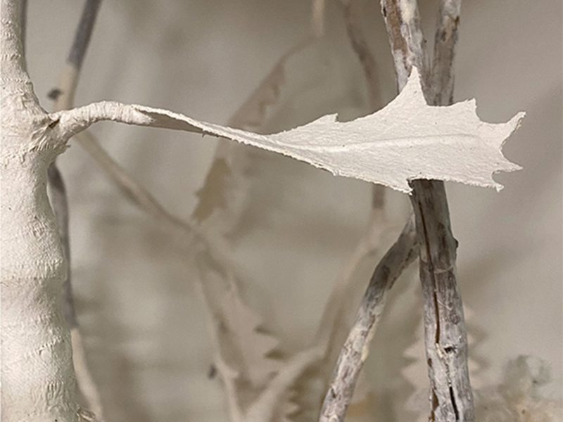 Remnant Memories - details