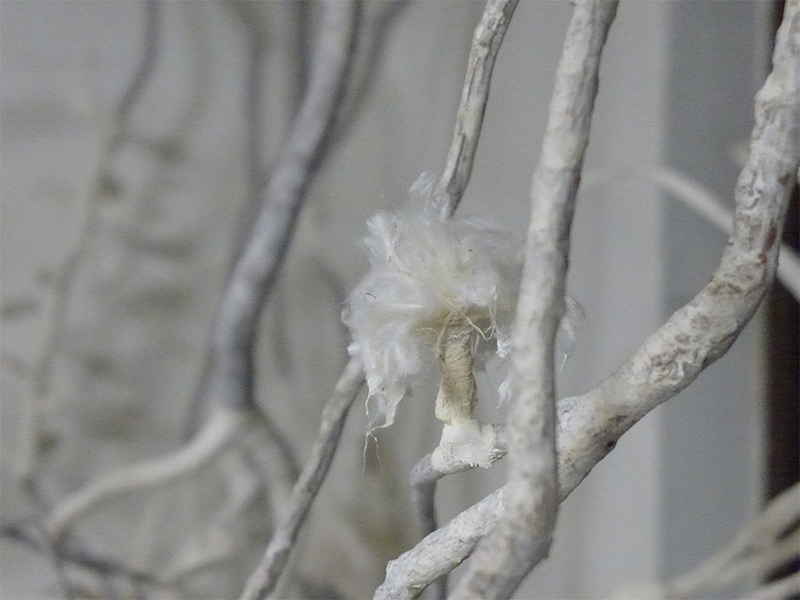Remnant Memories Detail